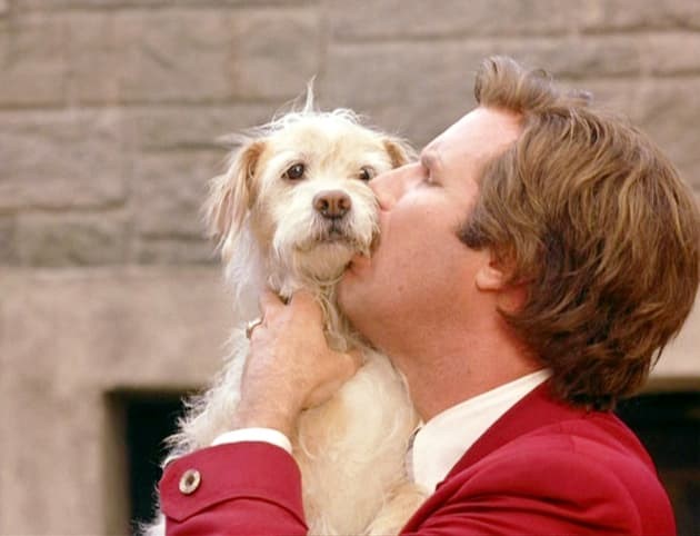 ron-burgundy-of-anchorman-fame-to-his-best-friend-baxter