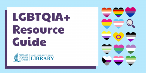 Read more about the article Gathering Resources for our LGBTQIA+ Guide