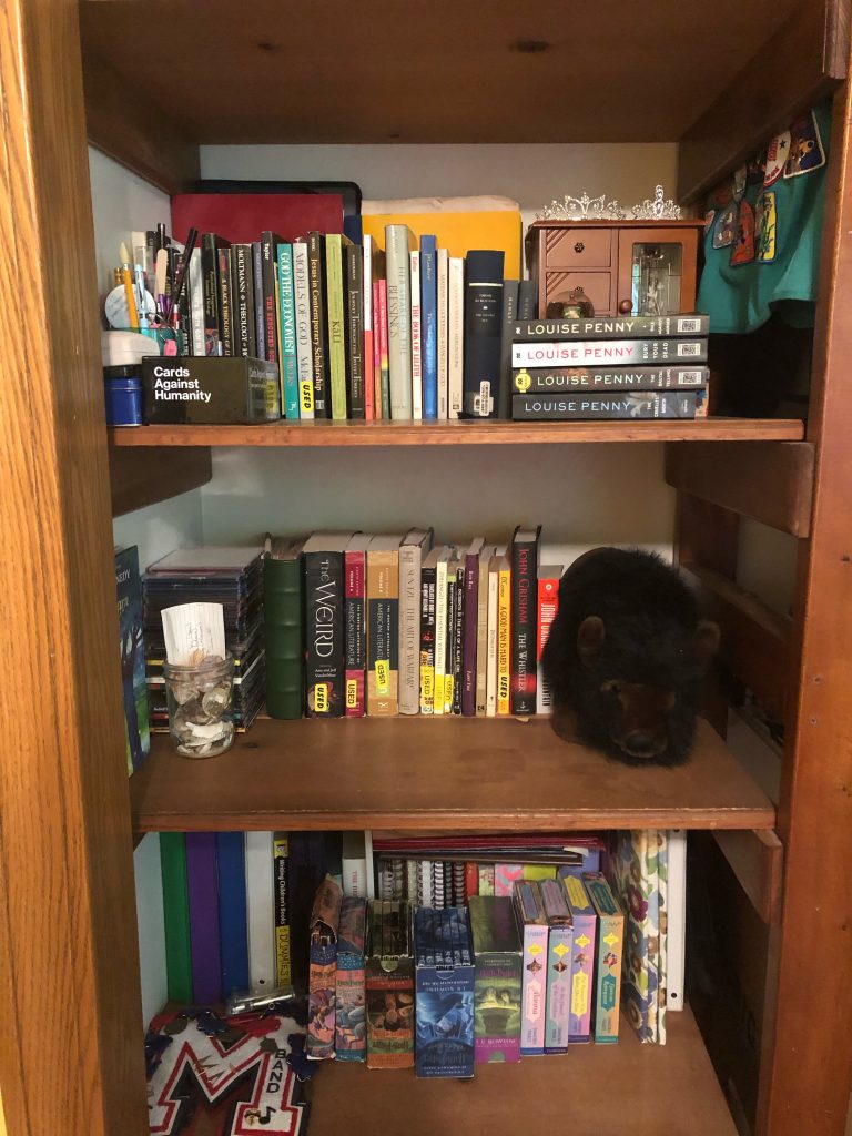 emilys-full-bookshelf