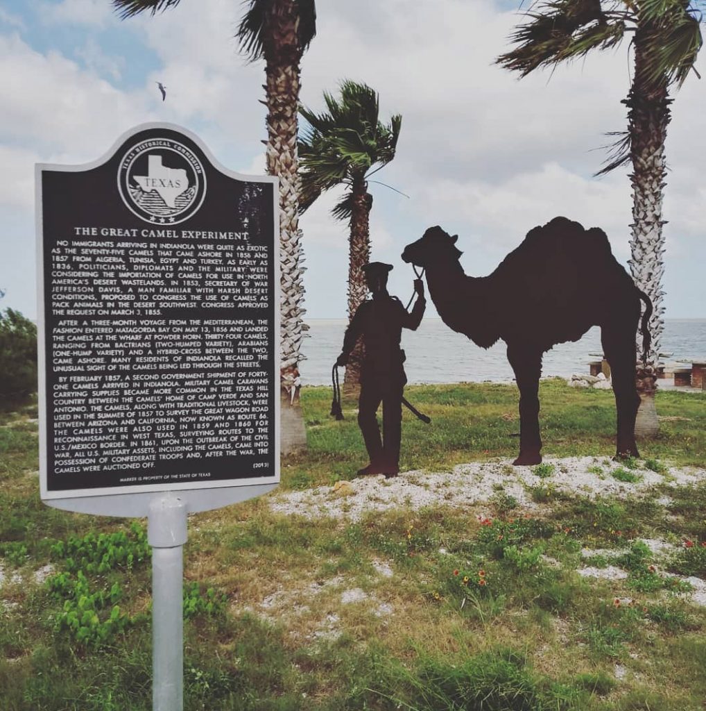great-camel-experiment-marker-and-artwork-in-indianola