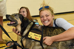 Read more about the article Paws on the Island — A Finals Tradition